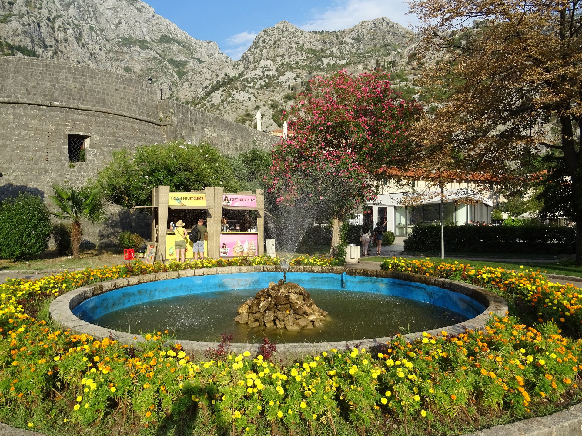 Kotor